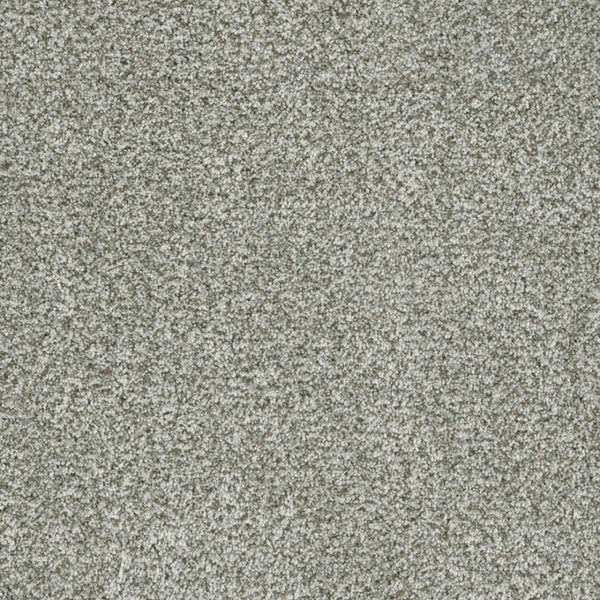 Close-up of Brazen II Pet Friendly Carpet in Purity color, featuring a soft, textured surface and dense, even pile—highlighting its premium quality for luxury flooring.