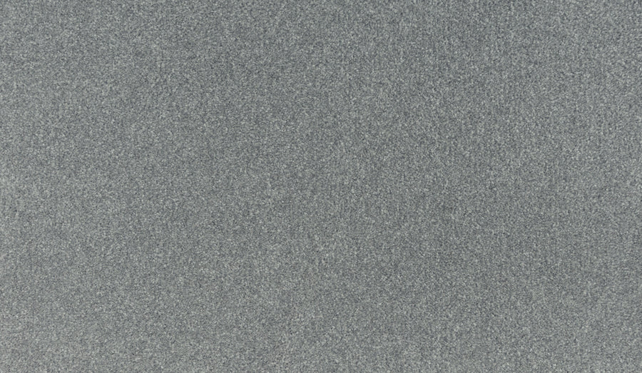 A close-up of the Quality Living III Pet Friendly Carpet in Arcus, showcasing its gray, textured, and grainy surface—designed to be durable and ideal for high-traffic areas.