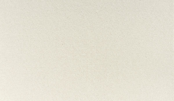 A close-up of Quality Living III Pet Friendly Carpet in Rococo color shows a smooth, light beige textured surface, offering a uniform appearance and durable resilience—ideal for busy spaces.