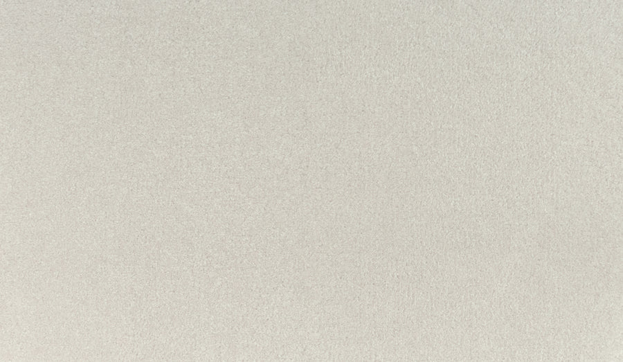 A close-up of the Quality Living III Pet Friendly Carpet in Old Lace, showcasing its light beige, textured surface with a soft and even appearance.