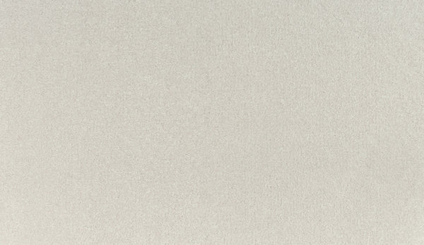 A close-up of the Quality Living III Pet Friendly Carpet in Old Lace, showcasing its light beige, textured surface with a soft and even appearance.