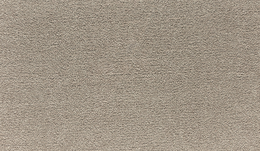 Close-up of Quality Living III Pet Friendly Carpet in Midsummer Light, featuring a soft, textured, stain-resistant surface with durable fibers and uniform color—ideal for homes with pets.