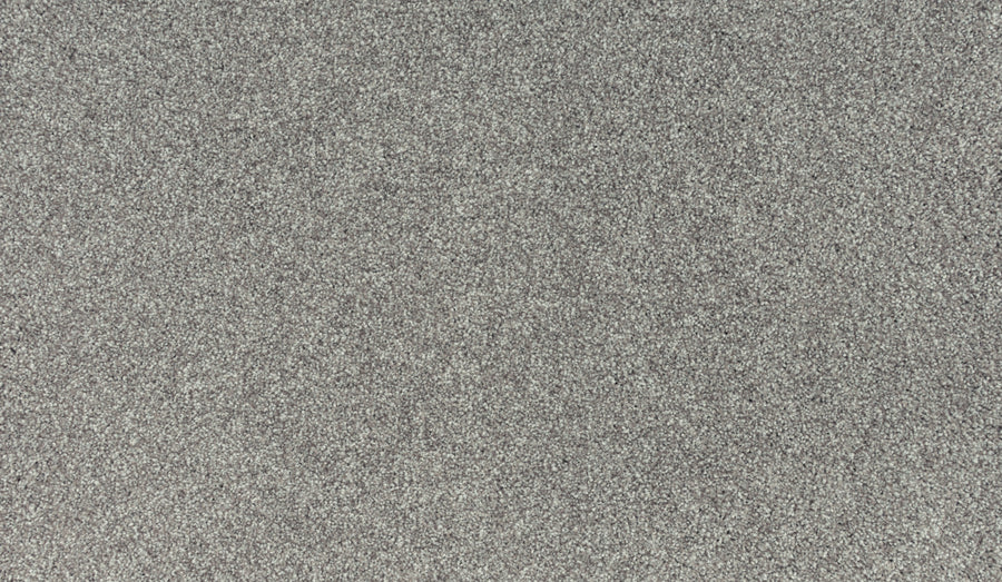 Close-up of the Quality Living III Pet Friendly Carpet in Dock, showcasing its grey, textured, stain-resistant surface with a uniform appearance that combines practicality and subtle style.
