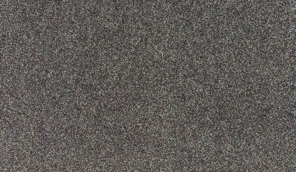 Close-up of Quality Living III Pet Friendly Carpet in Lite Espresso, featuring a textured, durable surface with a speckled pattern of lighter and darker fibers throughout.