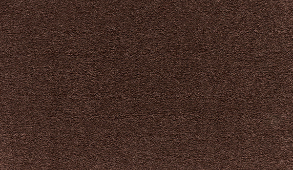 Close-up view of Quality Living III Pet Friendly Carpet in Lumina color. Its soft, textured surface with dense, plush fibers offers a cozy look and lasting durability—ideal for homes needing a pet-friendly carpet.