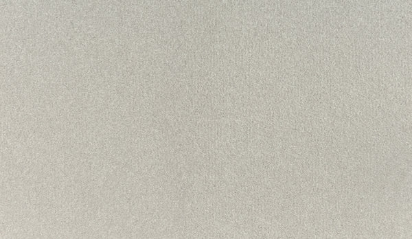Close-up of the Quality Living III Pet Friendly Carpet in Wisp, featuring a light gray textured surface with a soft and subtle appearance.