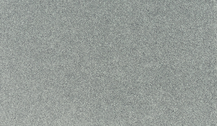 A close-up of the Quality Living III Pet Friendly Carpet in Lambs Ear, showcasing its textured gray surface with a uniform pattern of tiny speckles and a durable, resilient appearance.