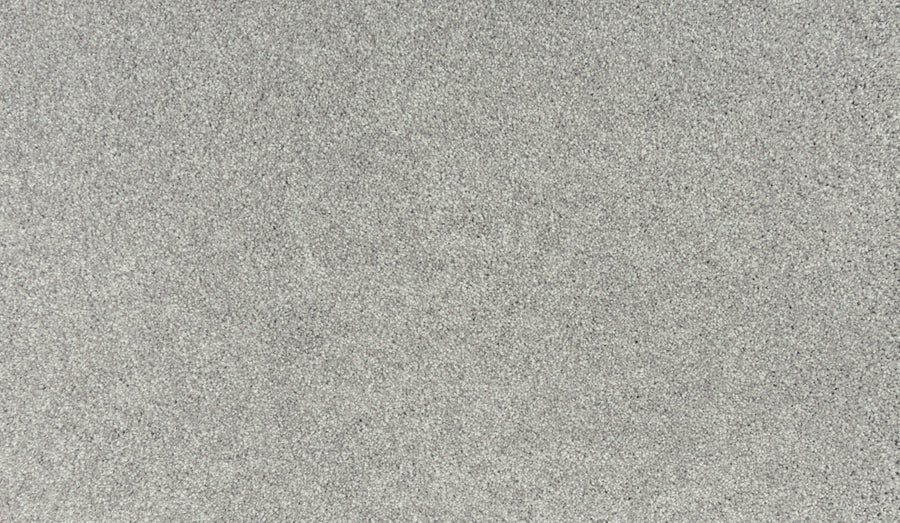 A close-up of Quality Living III Pet Friendly Carpet in Oyster shows a uniform, grainy texture similar to fine sandpaper or concrete, highlighting its durable surface designed to endure everyday pet-friendly wear.