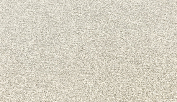 Close-up view of Quality Living II Pet Friendly Carpet in Buffed—light beige with a soft, textured surface. Durable and ideal for pet owners seeking a stylish, pet-friendly flooring solution.
