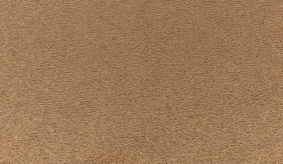 Close-up of Quality Living II Pet Friendly Carpet in Clove, featuring a soft, densely packed surface. This durable, plush carpet has a warm brown hue and is ideal for pet owners seeking comfort and resilience.