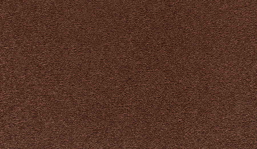 Close-up of Quality Living II Pet Friendly Carpet in Boreal, featuring a soft, even pile and consistent color—perfect for pet owners seeking a durable, pet-friendly flooring solution.