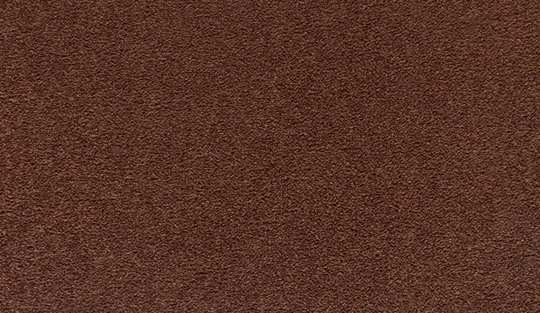 Close-up of Quality Living II Pet Friendly Carpet in Boreal, featuring a soft, even pile and consistent color—perfect for pet owners seeking a durable, pet-friendly flooring solution.