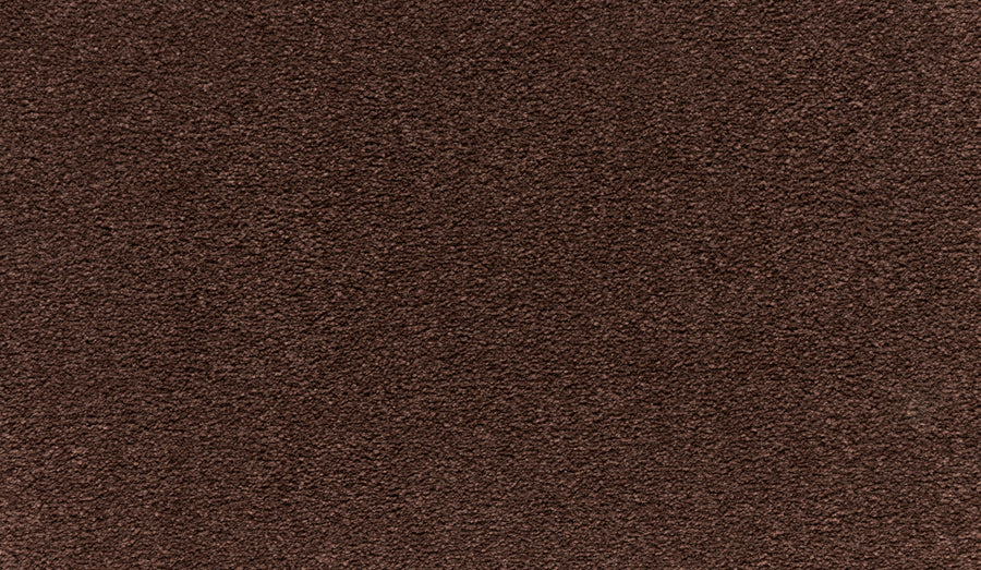 Close-up of the Quality Living II Pet Friendly Carpet in Lumina, featuring a soft, plush texture and evenly distributed fibers for uniform color—ideal for those seeking comfortable, durable, and pet-friendly flooring.