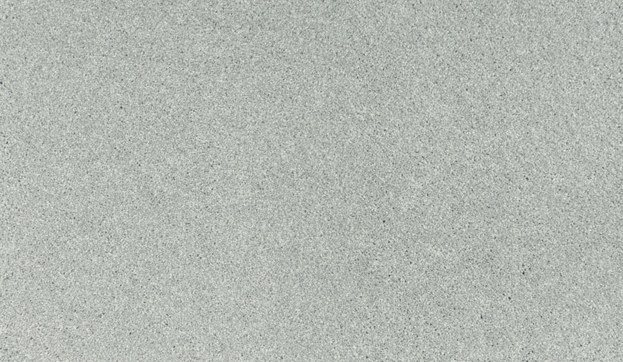 Experience the durable, slightly textured surface of Quality Living II Pet Friendly Carpet in Flute—light gray with fine speckles—perfect for pet owners seeking style and resilience.
