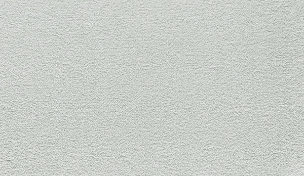 A close-up view of the Quality Living II Pet Friendly Carpet in Thundercloud, displaying its light gray, textured surface with a durable, slightly rough and grainy pattern ideal for pet owners.