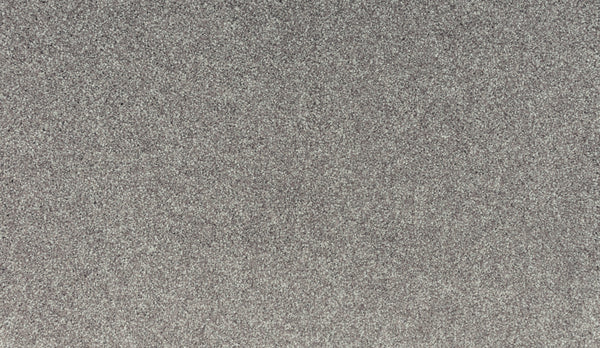 Close-up of Quality Living II Pet Friendly Carpet in Thin Ice—a textured gray surface with a uniform, speckled pattern, offering a stylish and durable option ideal for pet owners.