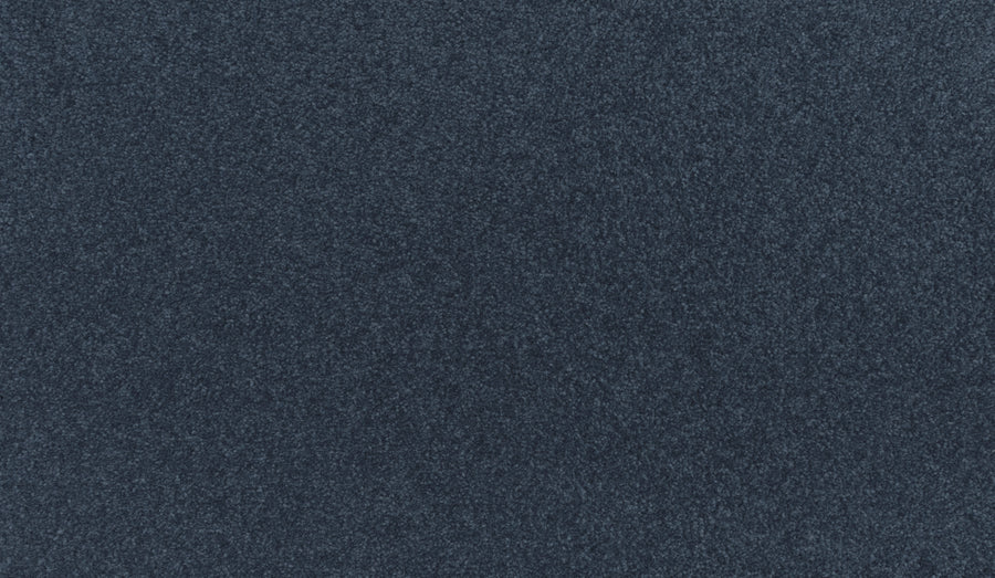 A close-up view of the Quality Living I Pet Friendly Carpet in Zephyr, featuring a textured, dark blue, stain-resistant surface that is soft and plush.