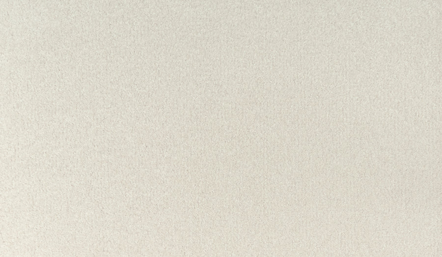 A close-up of Quality Living I Pet Friendly Carpet in Cameo Stone showing its soft, stain-resistant, plush beige surface with a uniform texture and no visible patterns or marks.