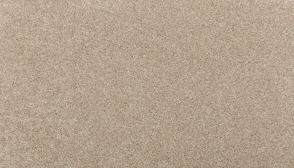 A close-up of Quality Living I Pet Friendly Carpet in Outer Banks, showcasing a smooth, even layer with a fine, uniform texture that’s both pet friendly and stain resistant.