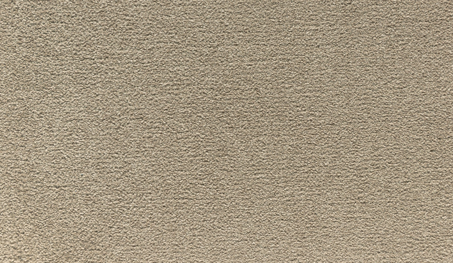 Close-up of Quality Living I Pet Friendly Carpet in Halo color. Its dense, soft texture and uniform beige surface offer plush comfort, making it an ideal pet friendly choice for any home.