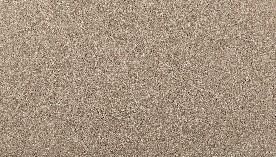 A close-up of Chalet, the Quality Living I Pet Friendly Carpet, shows its fine, light brown fibers with a smooth, even texture—designed for durability to handle daily wear while staying safe for pets.