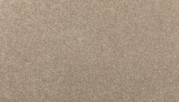 A close-up of Chalet, the Quality Living I Pet Friendly Carpet, shows its fine, light brown fibers with a smooth, even texture—designed for durability to handle daily wear while staying safe for pets.