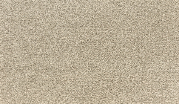 A close-up of Quality Living I Pet Friendly Carpet in Tradition color, featuring a soft, textured surface and evenly distributed fibers.