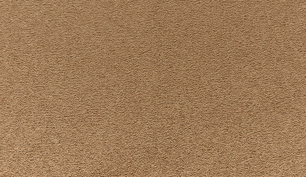 Close-up of Quality Living I Pet Friendly Carpet in Clove—features a uniform, soft, and slightly fuzzy textured brown surface that’s stain resistant.