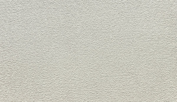 Close-up of Quality Living I Pet Friendly Carpet in Ice Fox, featuring a light color and uniform, subtly uneven texture reminiscent of a durable, stucco-like finish—ideal for high-traffic areas.