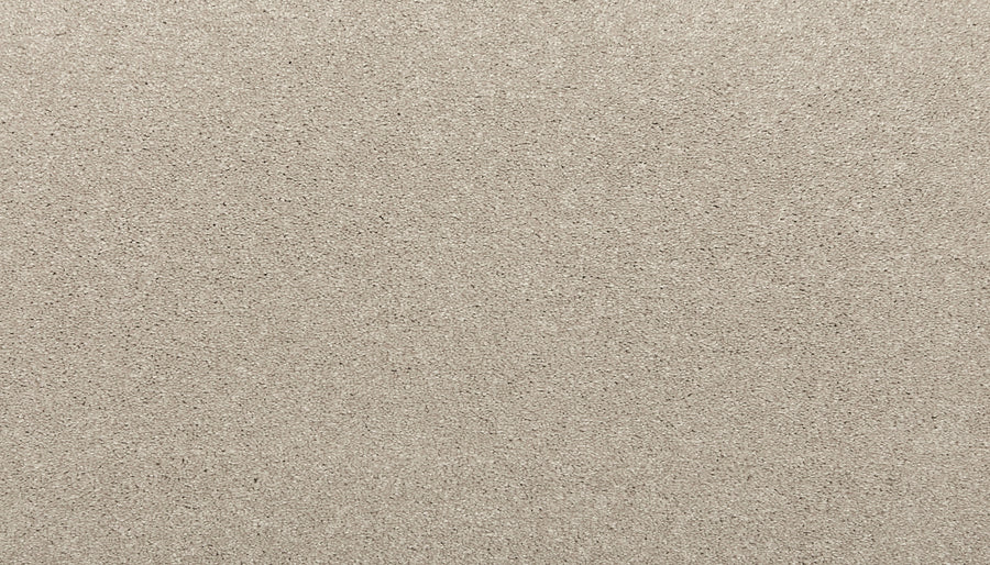 A close-up of the Quality Living I Pet Friendly Carpet in Seagull shows a textured, beige surface with fine, even grains, highlighting its resilient and durable design for lasting high-quality flooring.