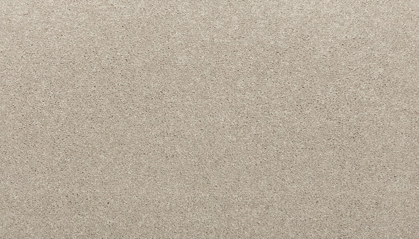 A close-up of the Quality Living I Pet Friendly Carpet in Seagull shows a textured, beige surface with fine, even grains, highlighting its resilient and durable design for lasting high-quality flooring.