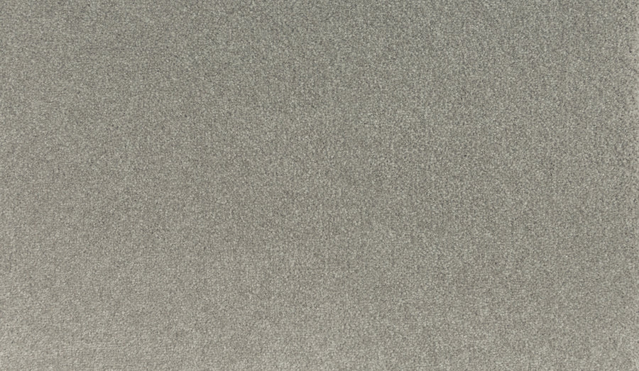 Close-up of Quality Living I Pet Friendly Carpet in Clam Island, showing its light grey, soft textured surface with a subtle mottled effect.