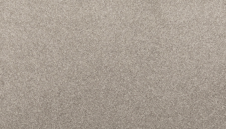 Close-up of Quality Living I Pet Friendly Carpet in Lambs Ea. The light grey, textured surface features soft fibers for a plush, cozy feel and a uniform, slightly speckled look, highlighting its modern stain-resistant design.