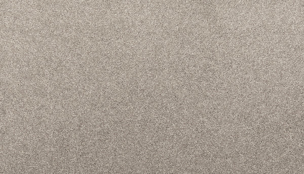 Close-up of Quality Living I Pet Friendly Carpet in Lambs Ea. The light grey, textured surface features soft fibers for a plush, cozy feel and a uniform, slightly speckled look, highlighting its modern stain-resistant design.