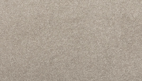 Close-up of Quality Living I Pet Friendly Carpet in Oyster—a beige, durable carpet with a soft, textured surface and uniform speckled pattern. Ideal for busy homes needing stain-resistant, pet-friendly flooring.