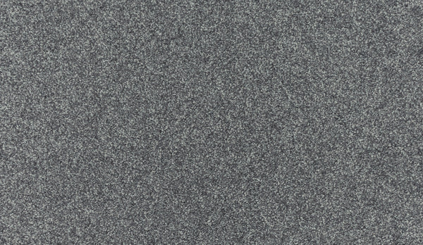 Close-up view of Quality Living I Pet Friendly Carpet in Shilling color, showcasing its textured, grainy surface with densely packed fibers for enhanced durability and resilience.