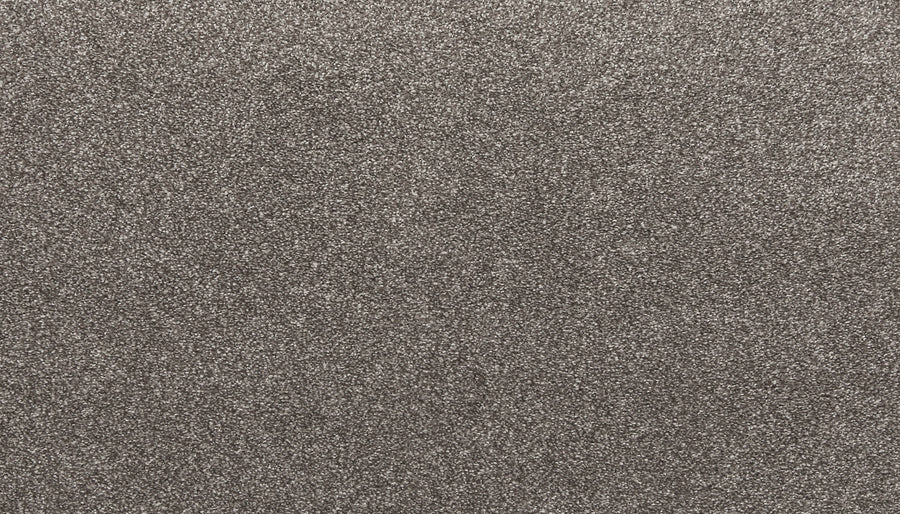 Close-up of Quality Living I Pet Friendly Carpet in Pavement—its textured gray surface has a subtle sparkle and slight roughness, offering stylish durability for any space.
