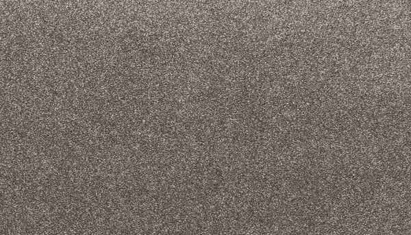 Close-up of Quality Living I Pet Friendly Carpet in Pavement—its textured gray surface has a subtle sparkle and slight roughness, offering stylish durability for any space.