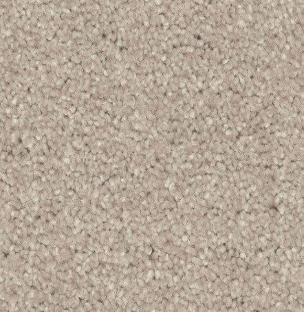 Close-up of Quality Living II Pet Friendly Carpet in Quiet—light beige, tightly woven fibers create a soft, uniform, and durable surface that's perfect for pet owners.
