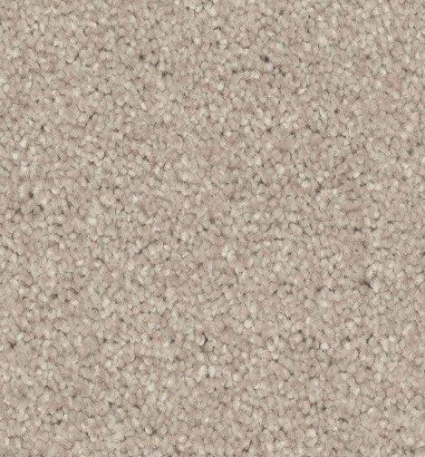 Close-up of Quality Living I Pet Friendly Carpet in Quiet color, featuring tightly woven, small loops of yarn for a soft, uniform, and durable beige surface—ideal for busy homes.