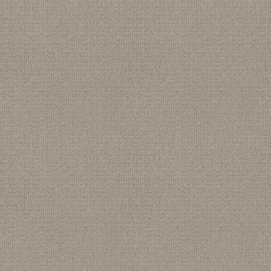 Close-up of Sierra Vista Pet Friendly Carpet in Quiet Moment, featuring a light beige woven texture with a subtle grid pattern. The soft, uniform surface and fine interlaced threads create a contemporary, comfortable feel underfoot.