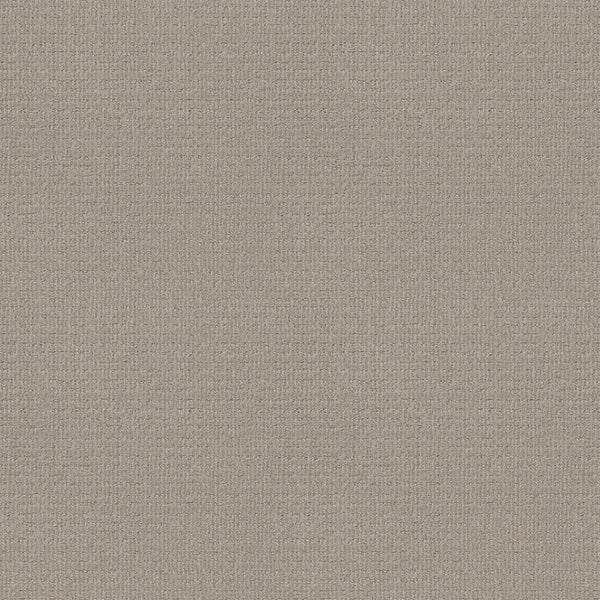 Close-up of Sierra Vista Pet Friendly Carpet in Quiet Moment, featuring a light beige woven texture with a subtle grid pattern. The soft, uniform surface and fine interlaced threads create a contemporary, comfortable feel underfoot.
