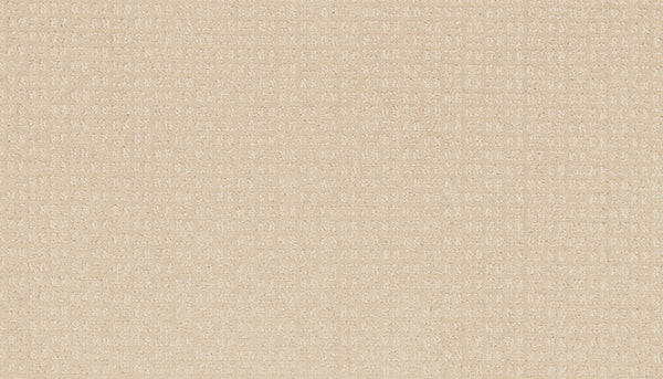 Radiant Space On Trend Carpet in Haven features beige textured fabric with a subtle small grid-like woven pattern and cushioned surface for a soft, slightly raised look—ideal for modern, contemporary spaces.