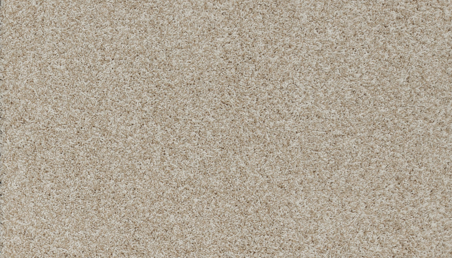 Close-up view of Aurelia Pet Friendly Carpet in beige, featuring a soft, textured, and slightly fluffy surface. Densely packed fibers offer a plush, uniform look—ideal for anyone seeking premium comfort with pet-friendly durability.