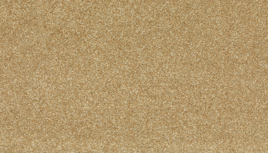 A close-up of Radiant Surface Pet Friendly Carpet in Honey Cream shows fine, light brown fibers forming a uniform, plush texture that's both inviting and elegant.