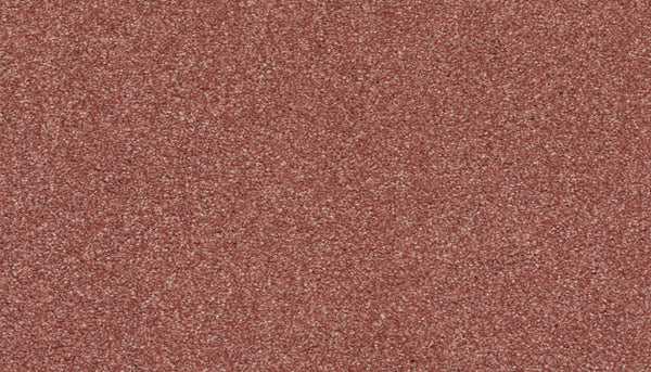 Close-up of Radiant Surface Pet Friendly Carpet in Cool Blush, featuring a textured surface with fine granules—pet friendly and stain resistant—offering a rich, gritty look.