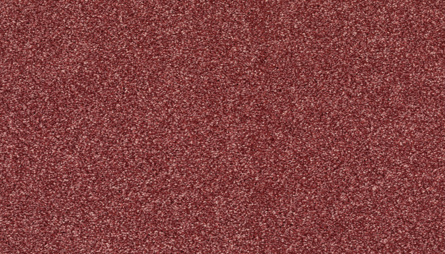Close-up of Radiant Surface Pet Friendly Carpet in Desert Rose, showing its textured finish with a reddish-brown hue and densely packed, small particles for a stain-resistant surface.