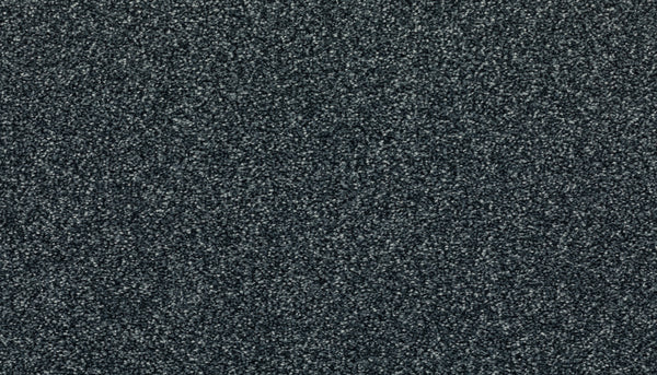 Close-up of Radiant Surface Pet Friendly Carpet in Ocean Jewel color, featuring a dark gray, slightly speckled texture that resembles plush carpet or coarse fabric.