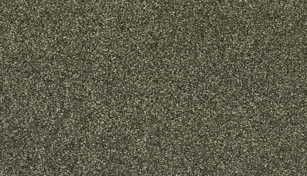 Close-up of the textured Inverness color Radiant Surface Pet Friendly Carpet, showing fine, dark gray fibers with a granular look designed for stain resistance and everyday durability.