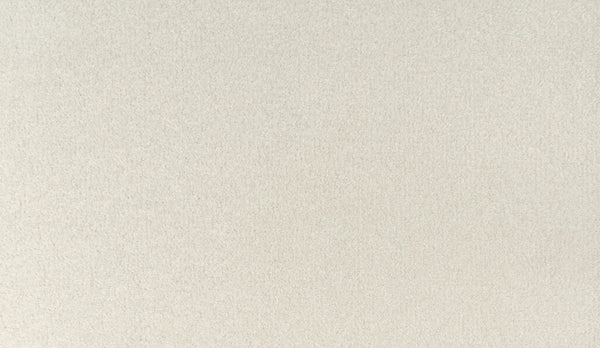 Close-up view of Radiant Surface Pet Friendly Carpet in Cameo Stone—plush, light beige texture with an even, soft, and clean look, perfect for pet-friendly homes.
